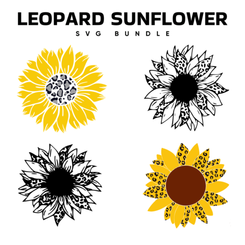 Set of four sunflowers with different colors.