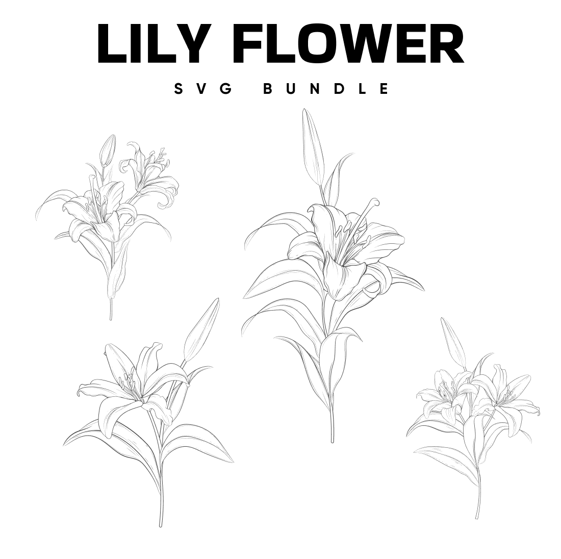 Lily Flower SVG.