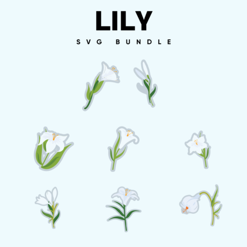 Lily SVG.