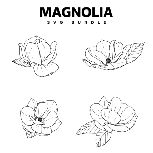 Magnolia SVG.