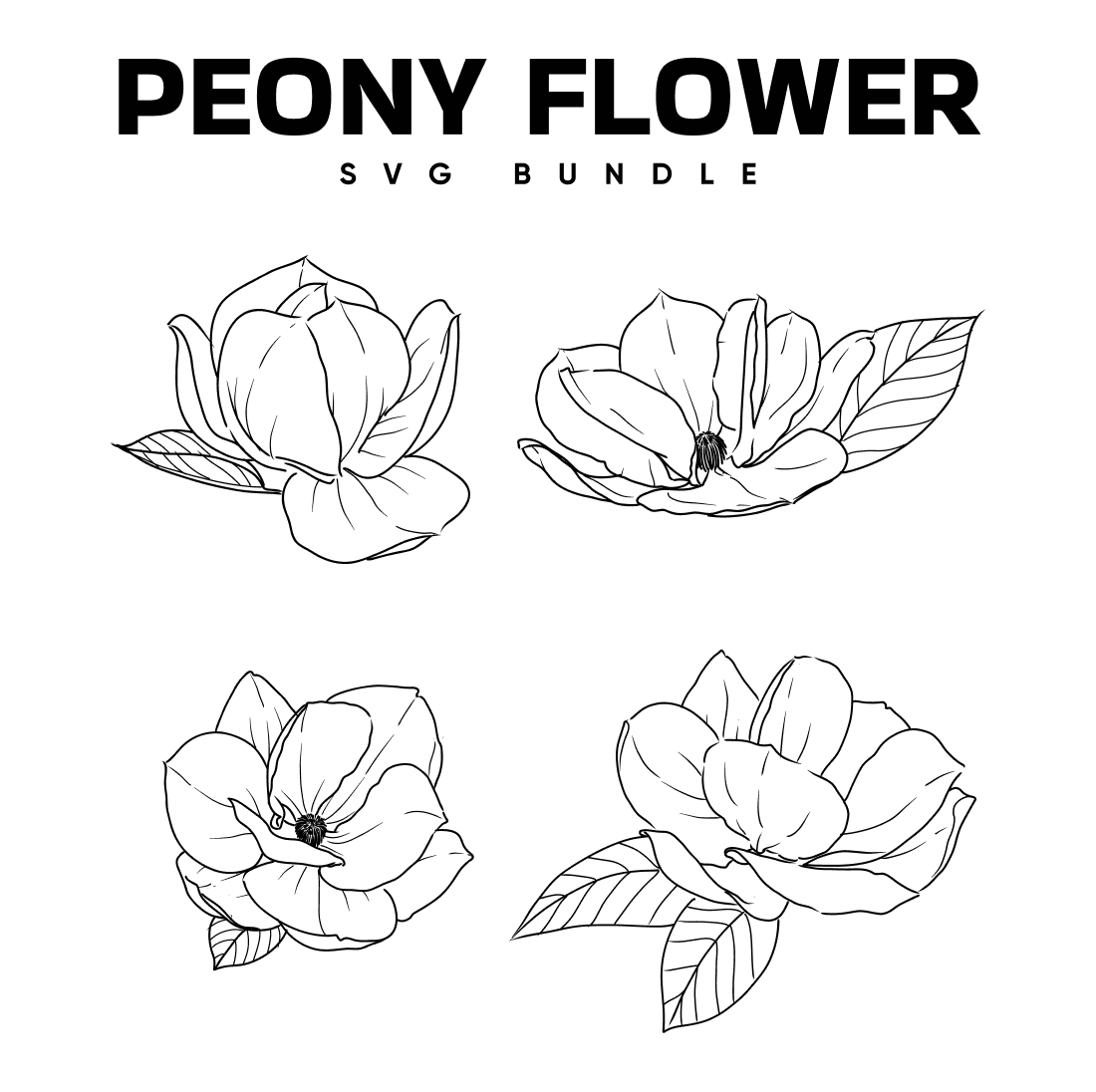 Peony Flower SVG.
