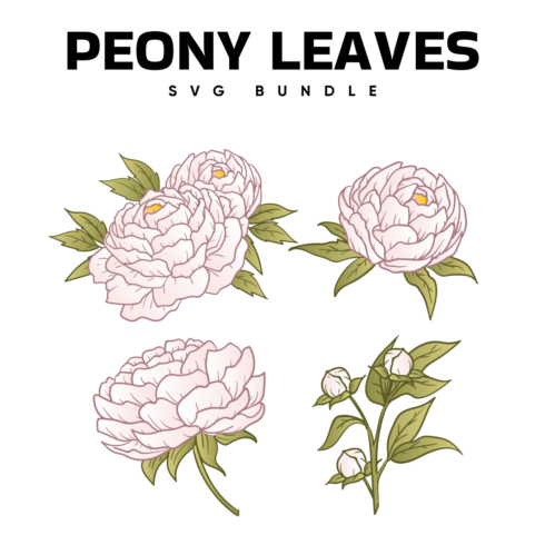 Peony Leaves Svg.