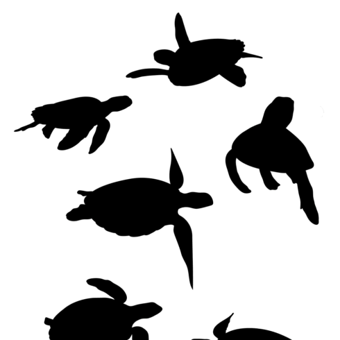 Sea Turtle Silhouette SVG | MasterBundles