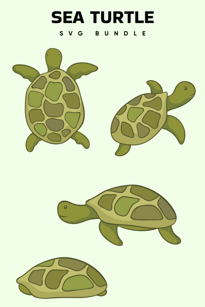 Sea Turtle SVG Free – MasterBundles