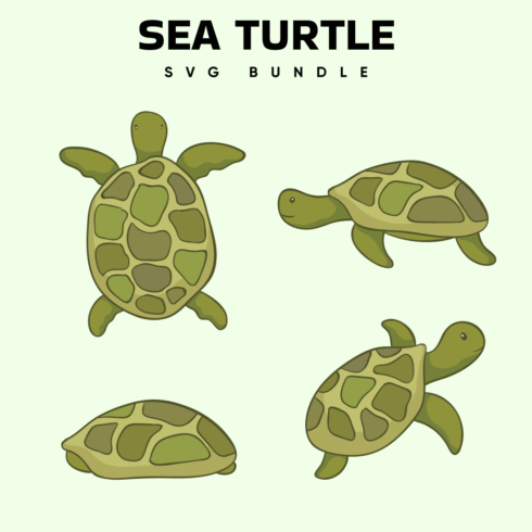 Sea Turtle SVG Free.