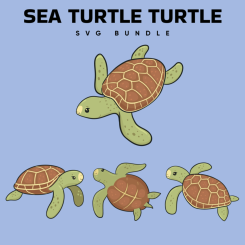 Sea Turtle Turtle SVG Free.