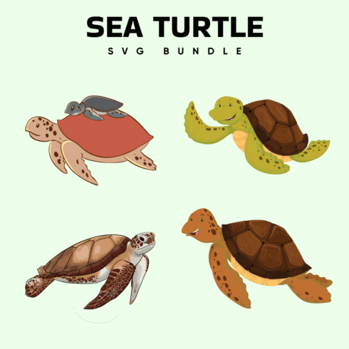 Sea turtle svg bundle.