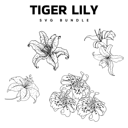 Tiger Lily SVG.