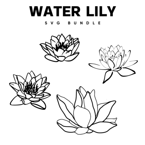 Water Lily SVG.