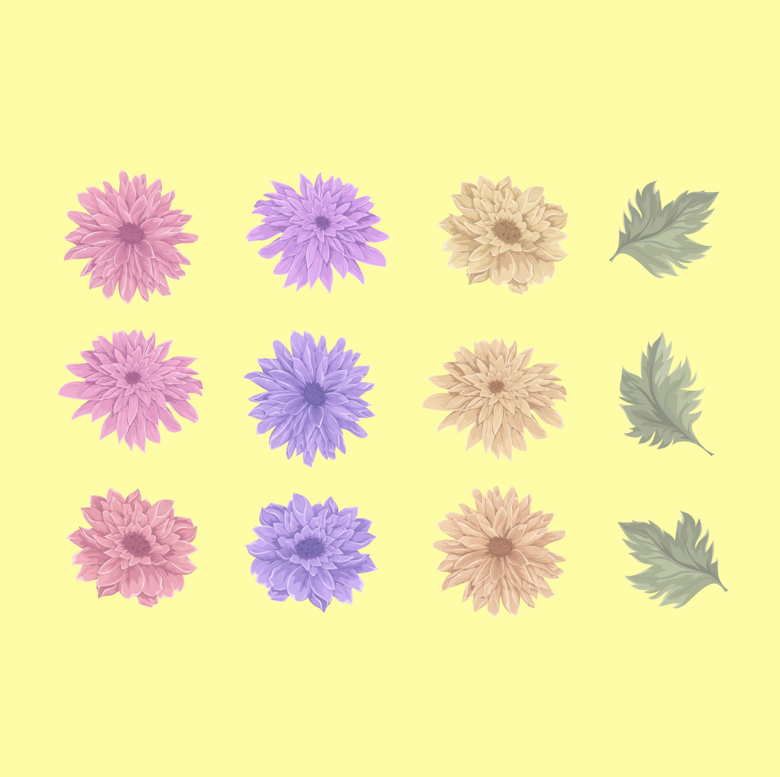 Chrysanthemum SVG cover.