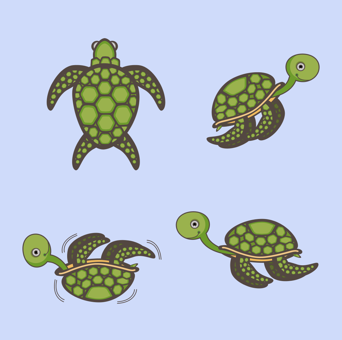 Cute Sea Turtle SVG cover.