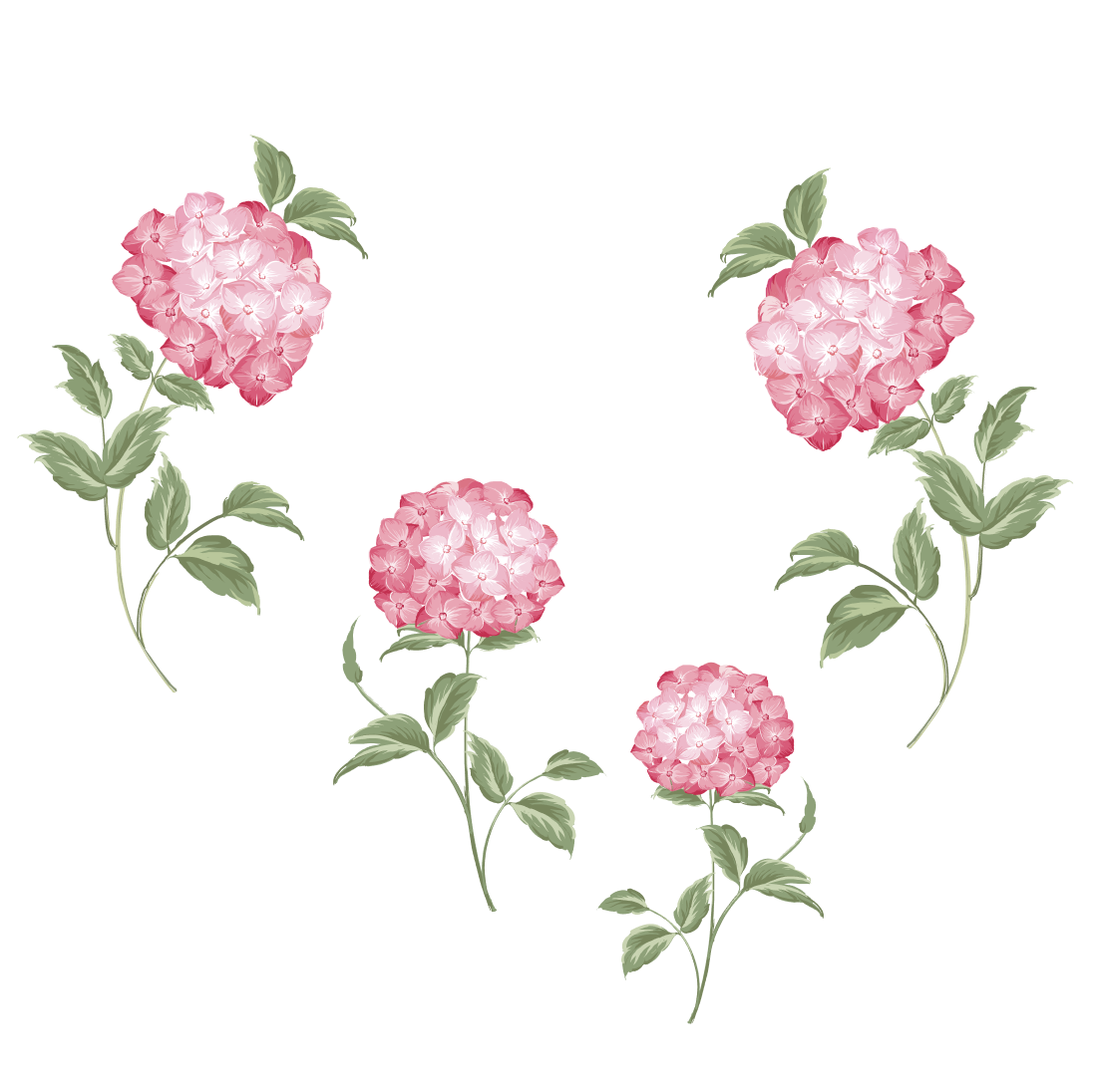 Hydrangea Flower SVG cover.