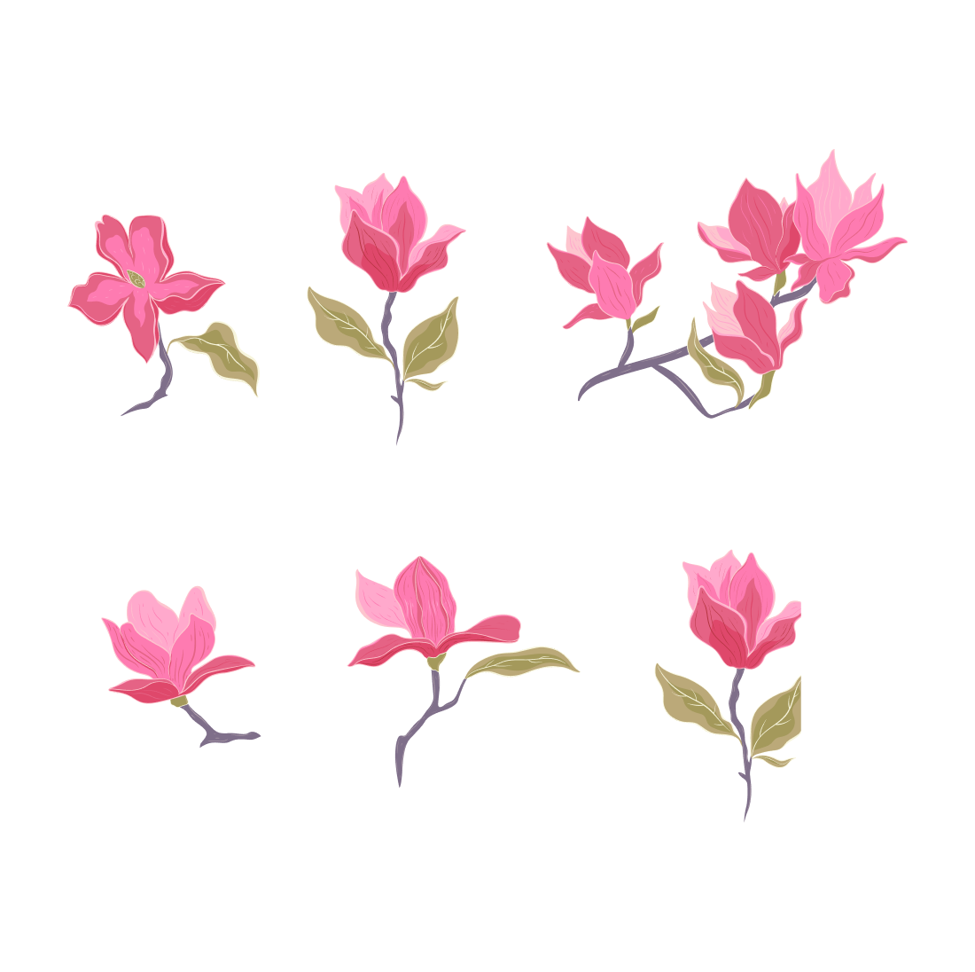 Magnolia Flower SVG cover.