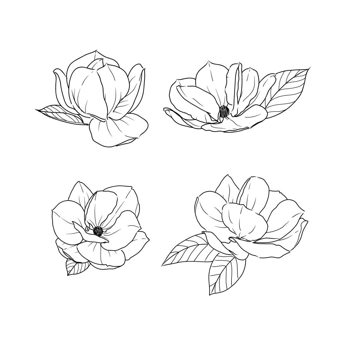 Peony Flower SVG cover.