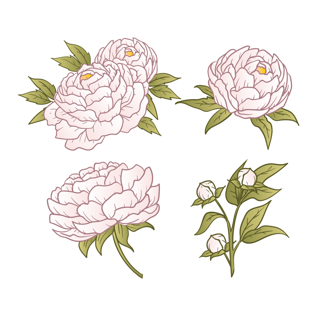 Peony Leaves Svg Cover.