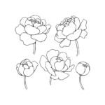 Lia Griffith Peony Svg File – MasterBundles