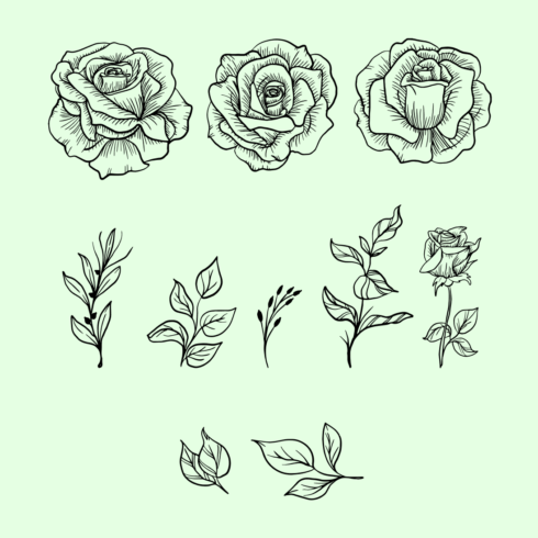 Rose Leaves SVG | MasterBundles