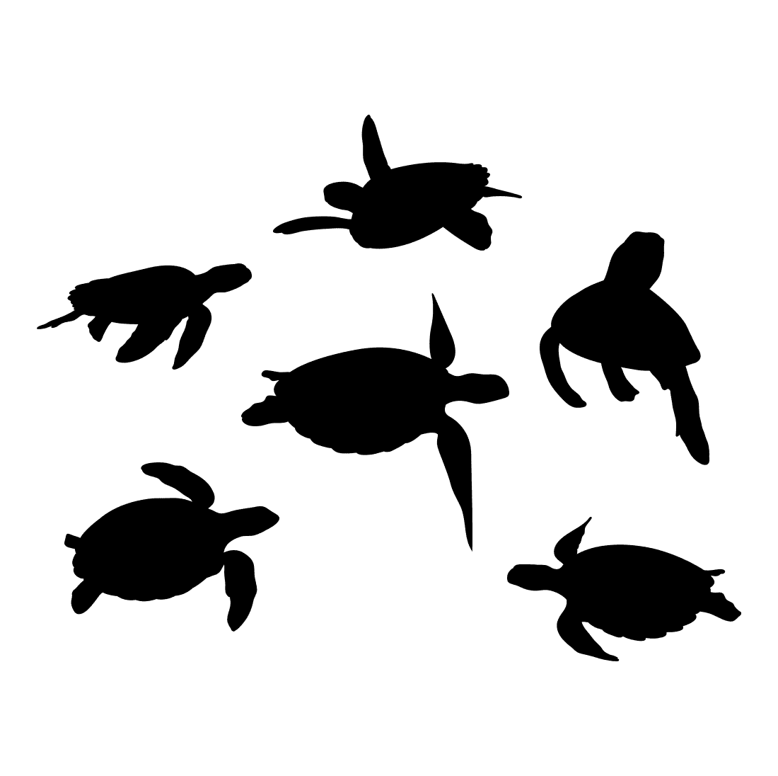 Group of sea turtles swimming in the ocean.