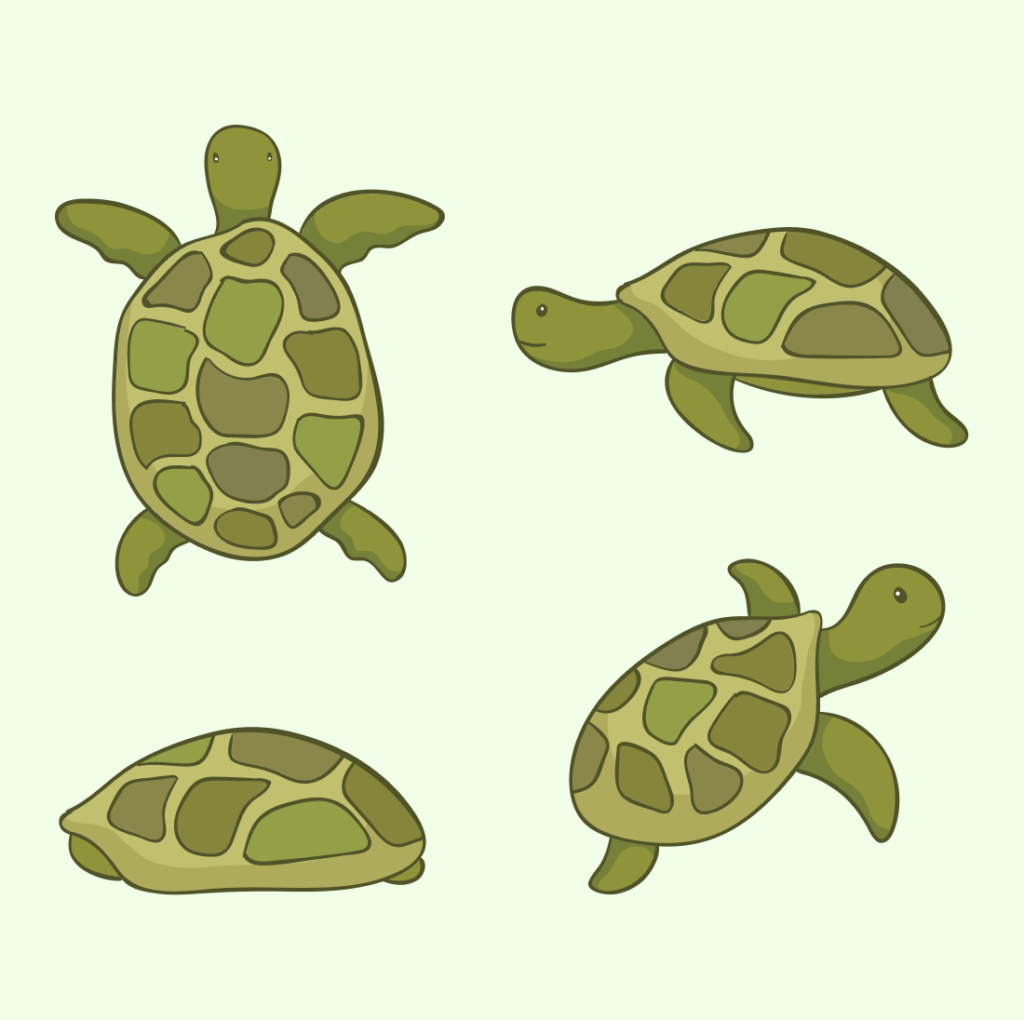 Sea Turtle SVG Free – MasterBundles
