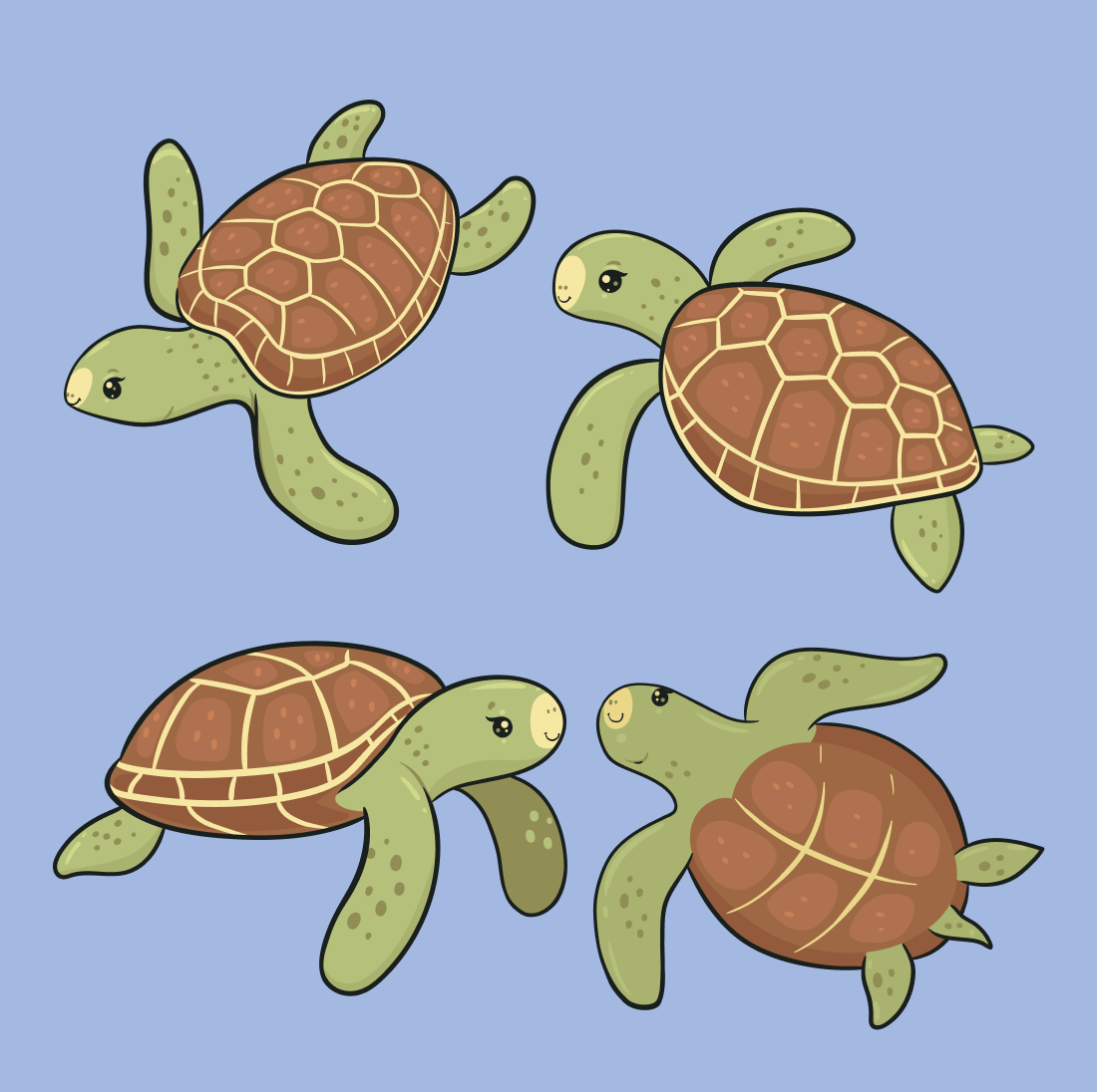 Sea Turtle Turtle SVG Free cover.