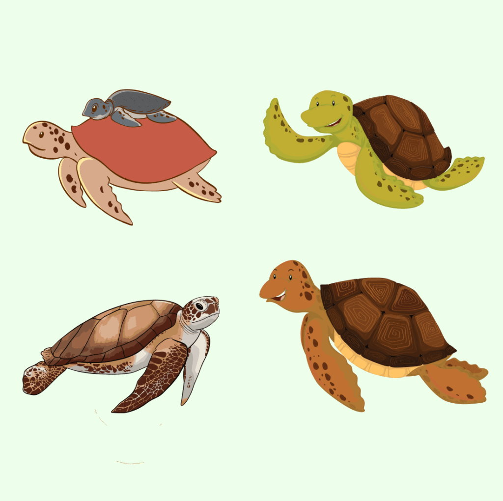 SVG Sea Turtle File – MasterBundles