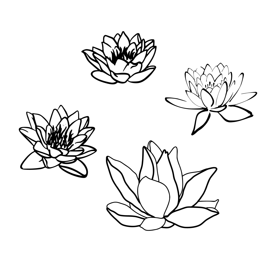 water lily outline