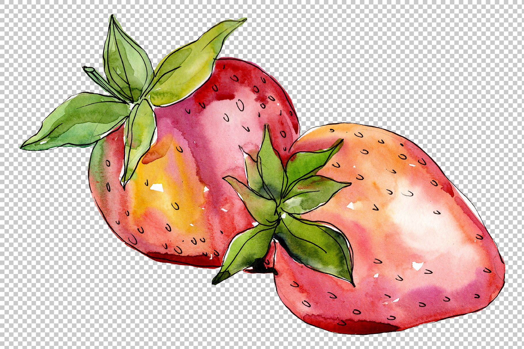 Two watercolor strawberries.