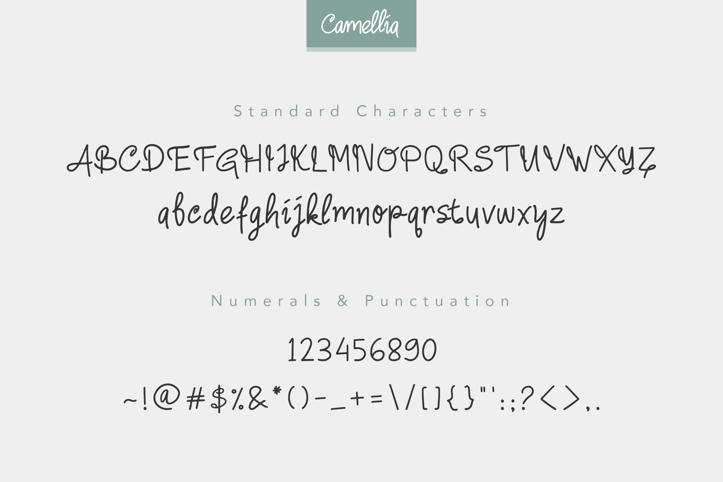 General view of the Camellia font.