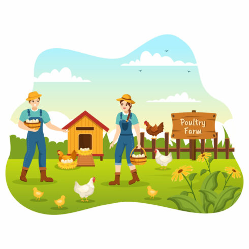 Poultry Farm Design Illustration cover image.