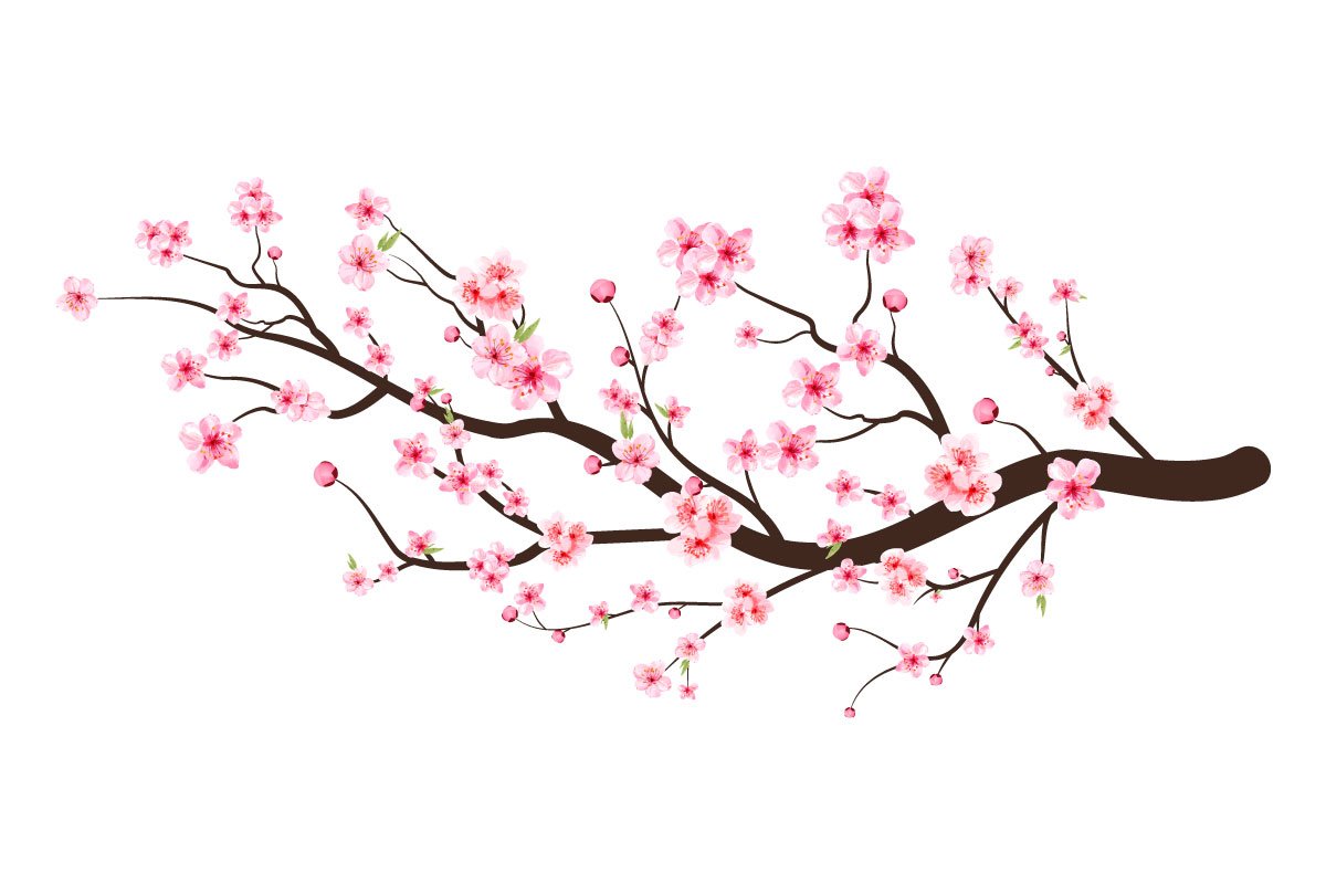 Fluffy Sakura branch.