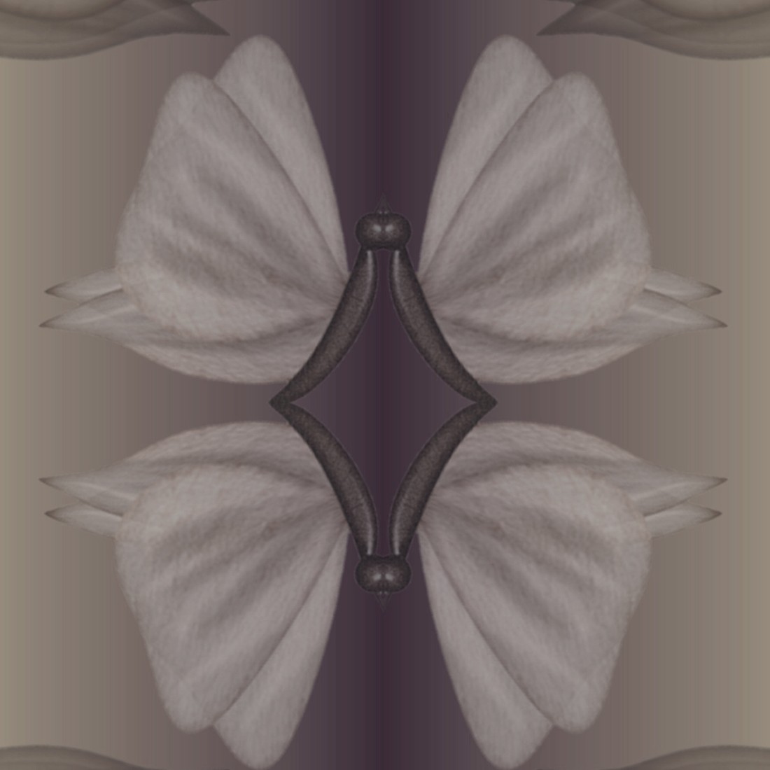 Coffee Filter Butterfly Digital Paper created by Octavia Bell.