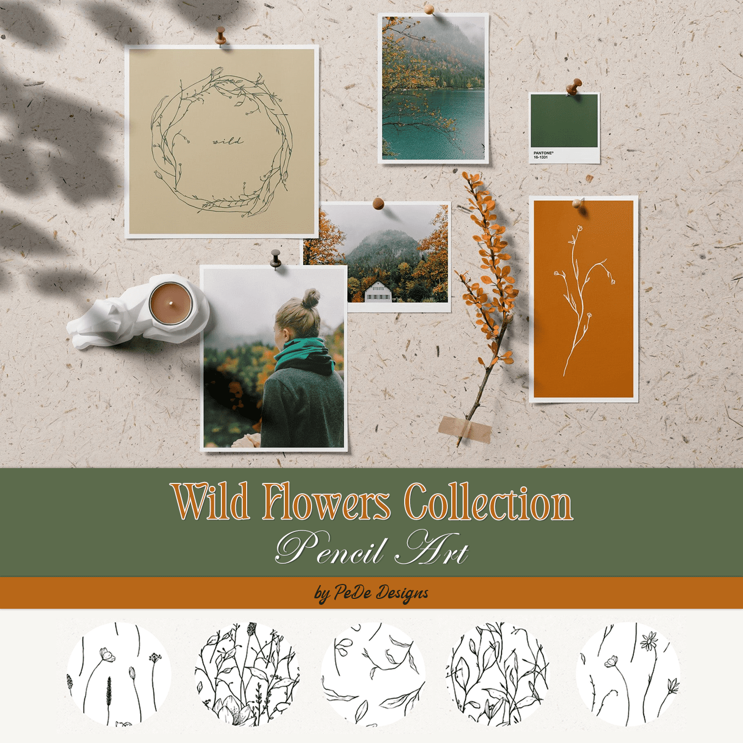 Wild Flowers Collection. Pencil Art. cover.