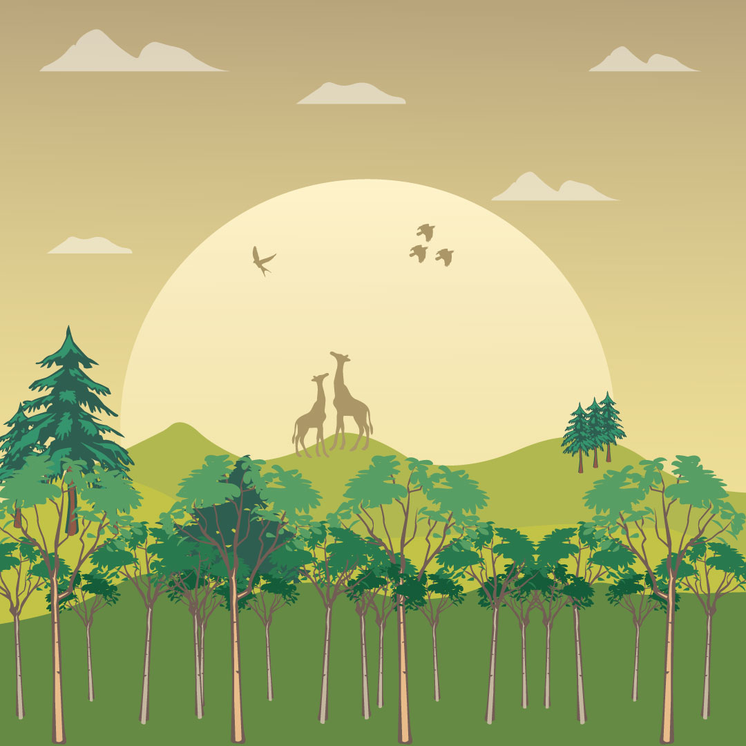 Beautiful Moon and Animal Illustrations preview image.
