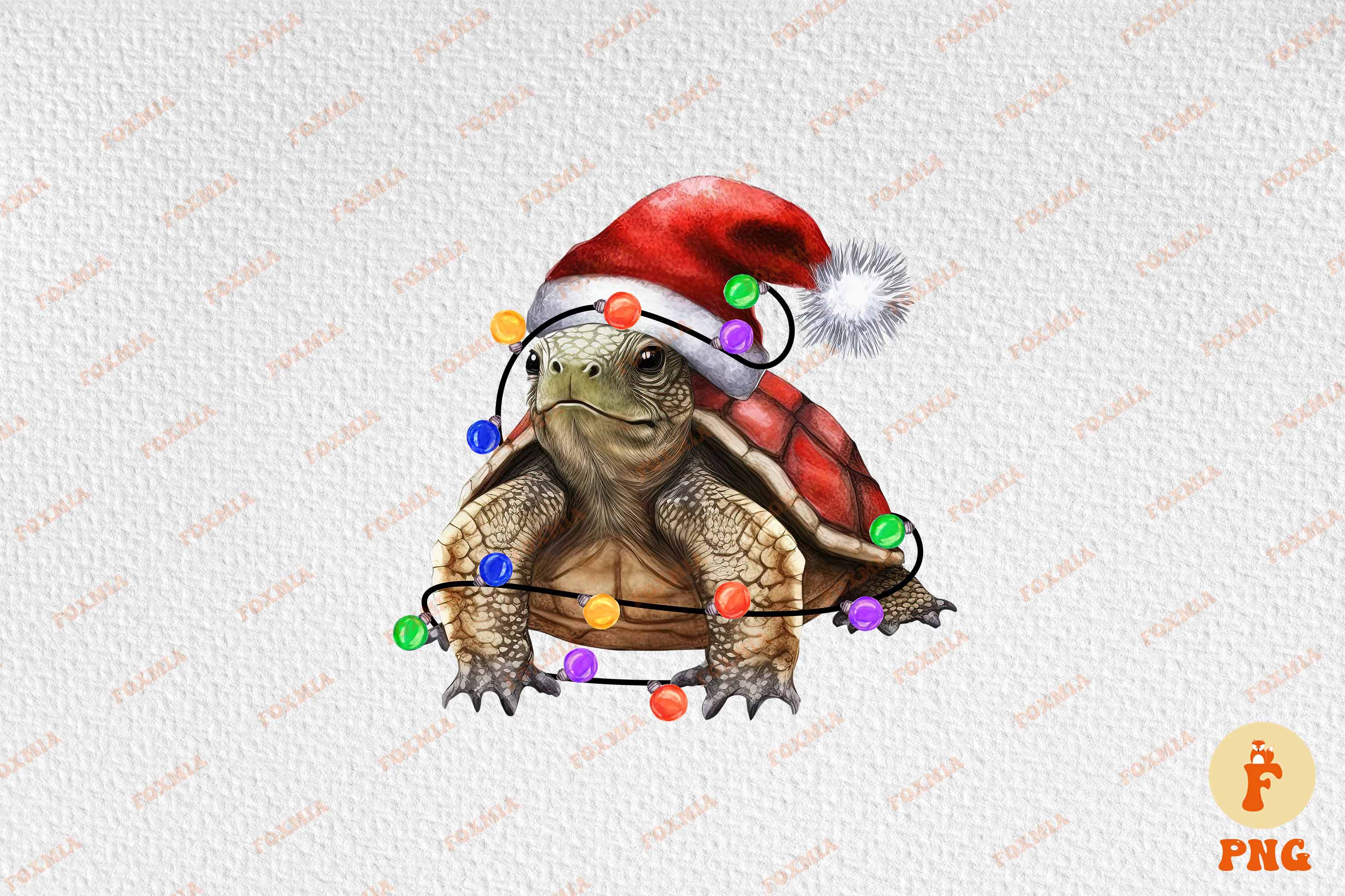 Exquisite image of a turtle wearing a santa hat.
