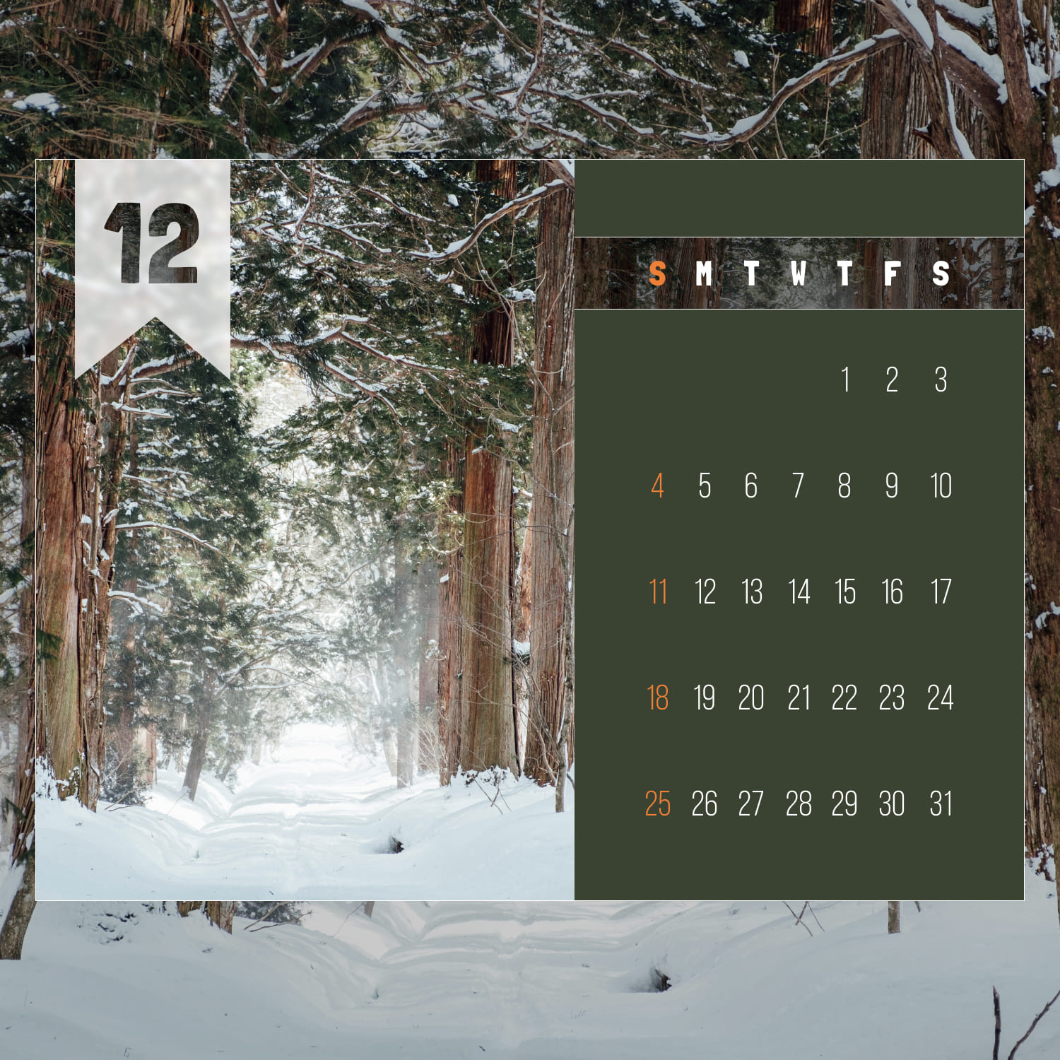 Free December Forest Calendar Cover.