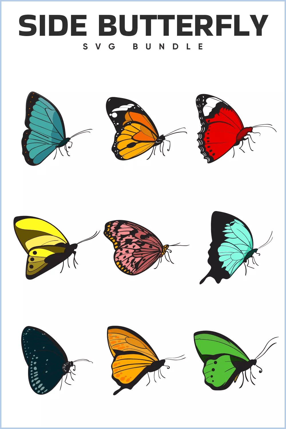 Collage of images of colored butterflies on the side.