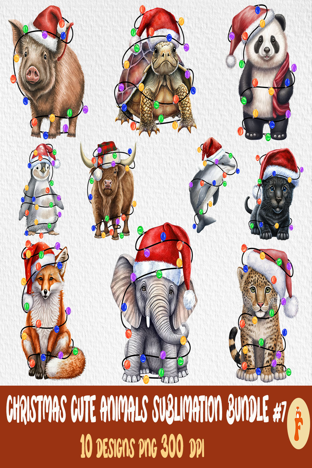 A selection of exquisite images of animals in Christmas clothes.