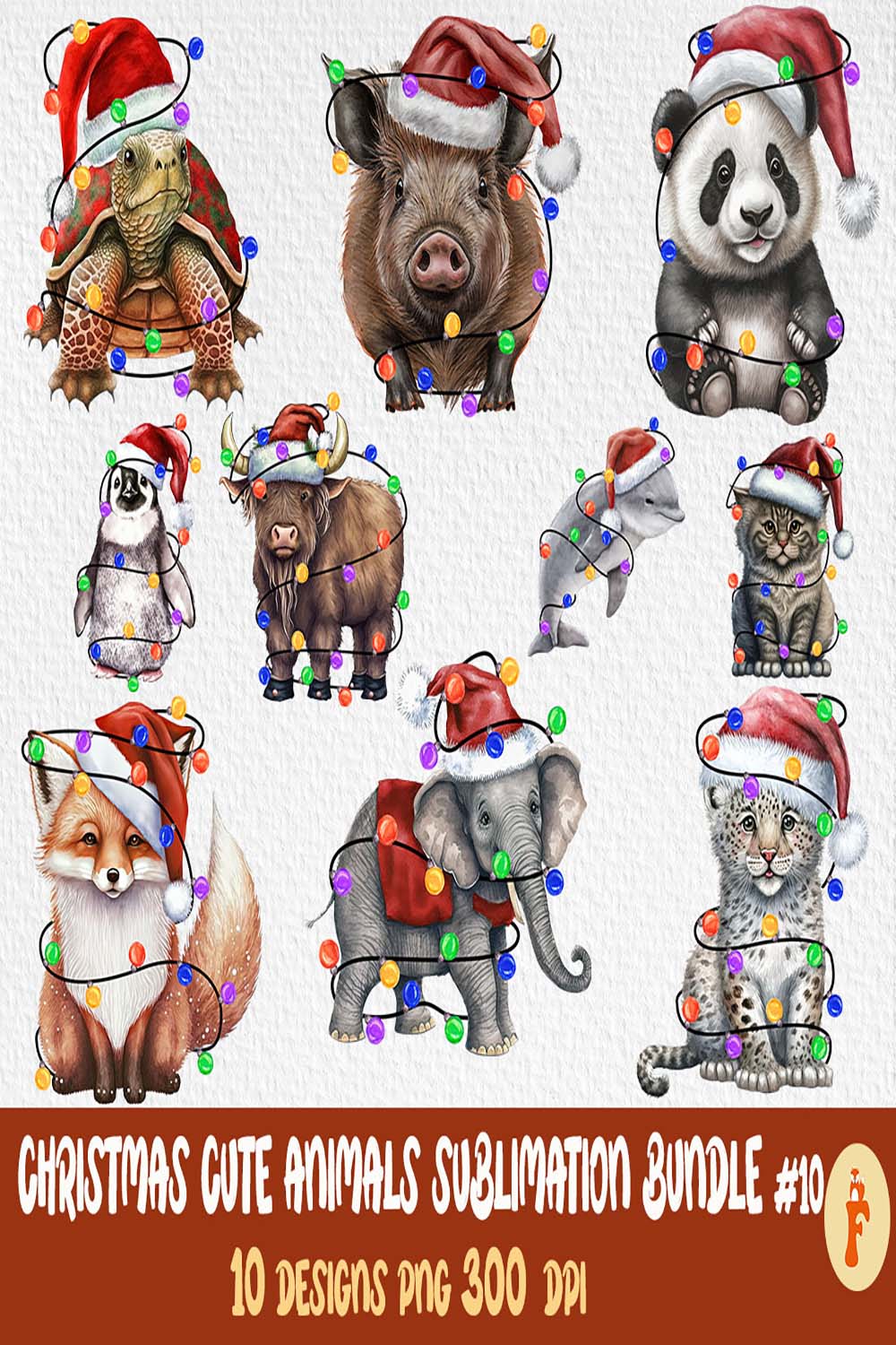 Collection of wonderful images of animals in Christmas clothes.