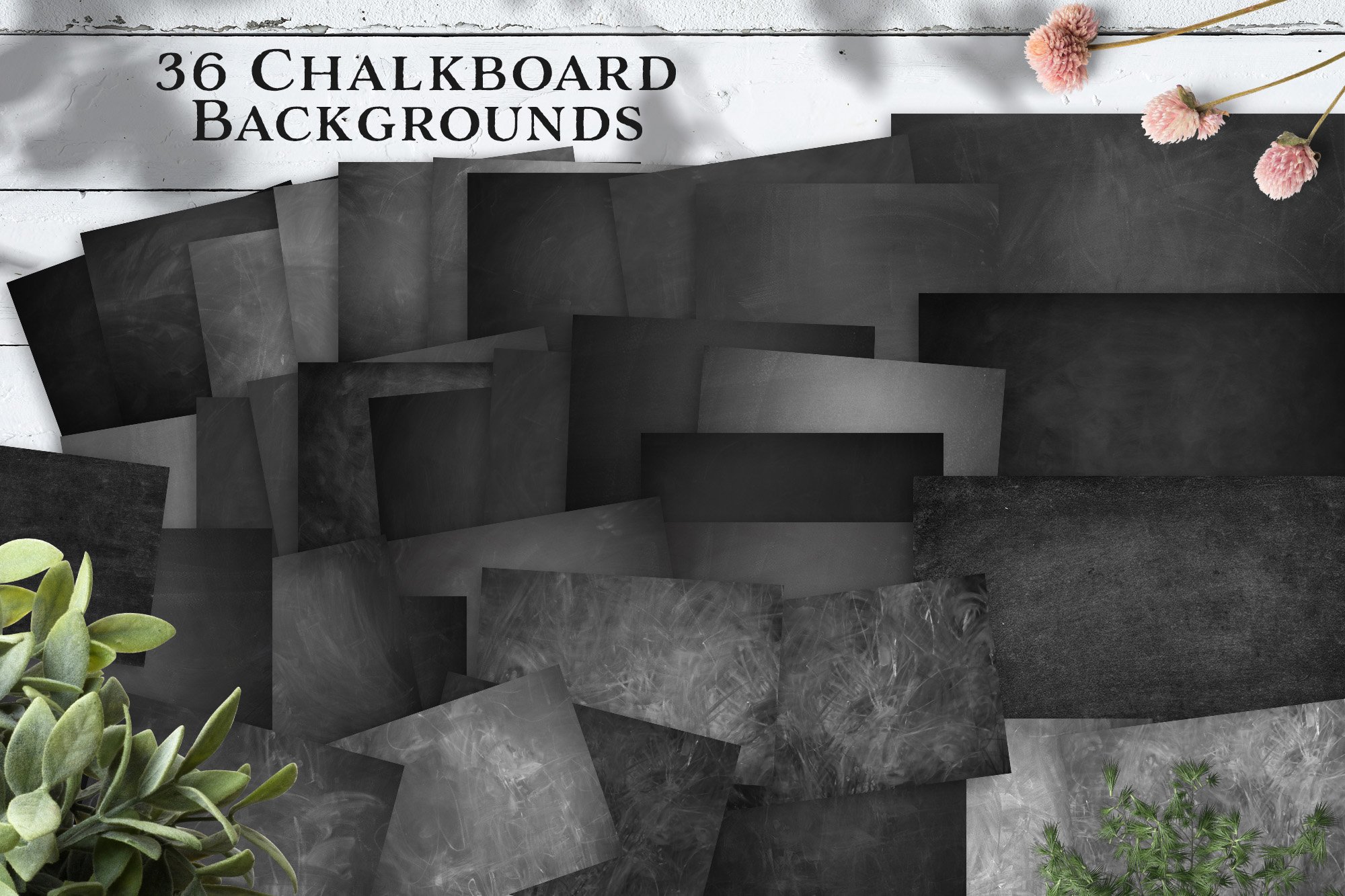 There are 36 chalkboard backgrounds.