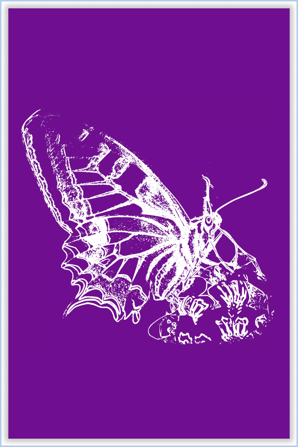 Image of a well-drawn large butterfly on a purple background.
