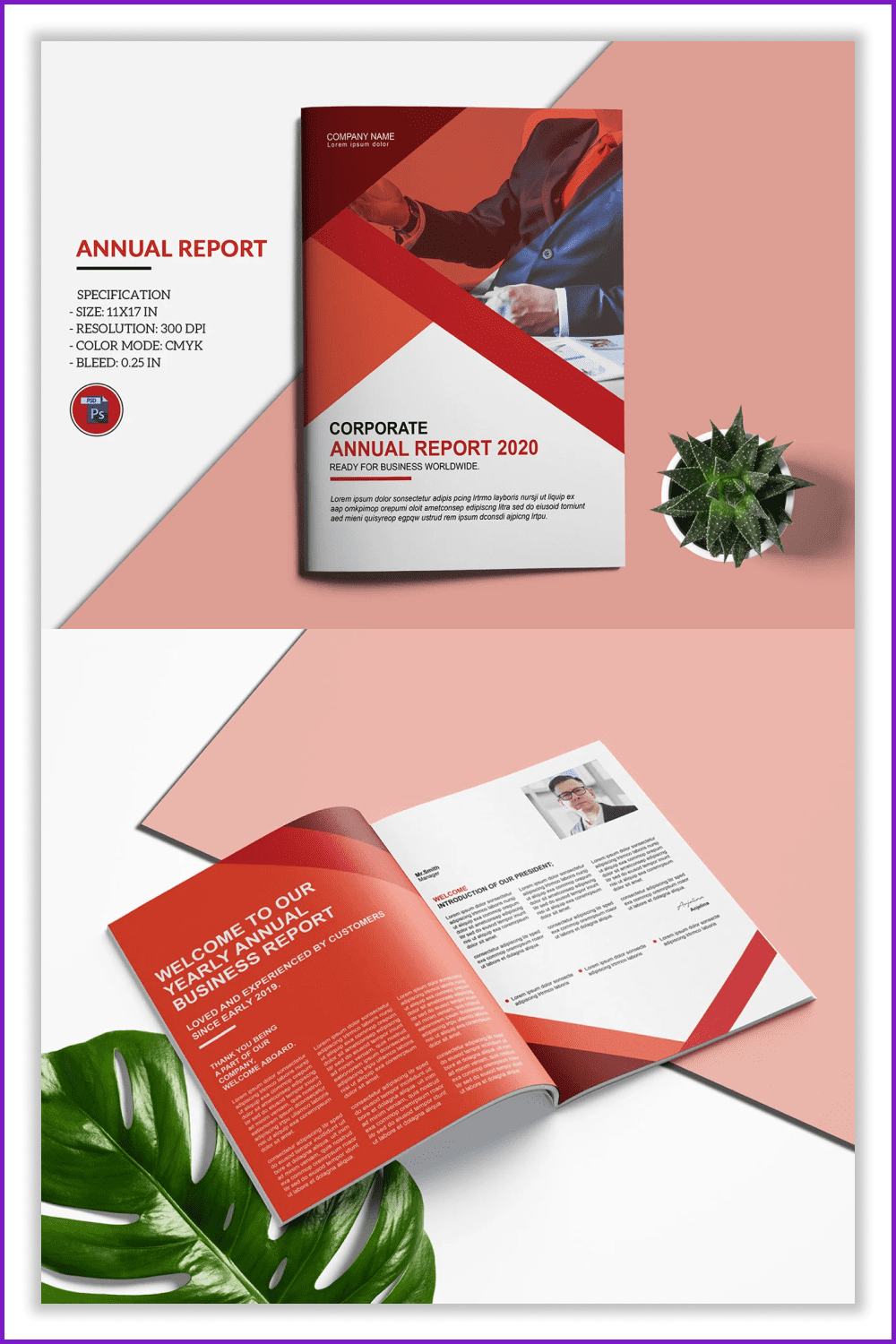Photos of annual report made like a book in red colors.
