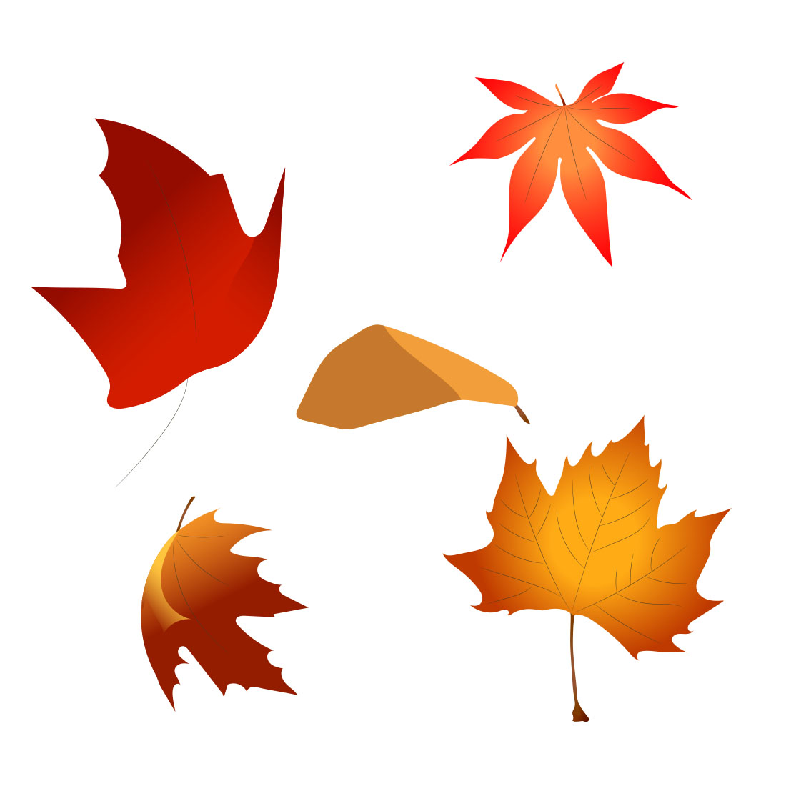 Collection of autumn leaves on a white background.