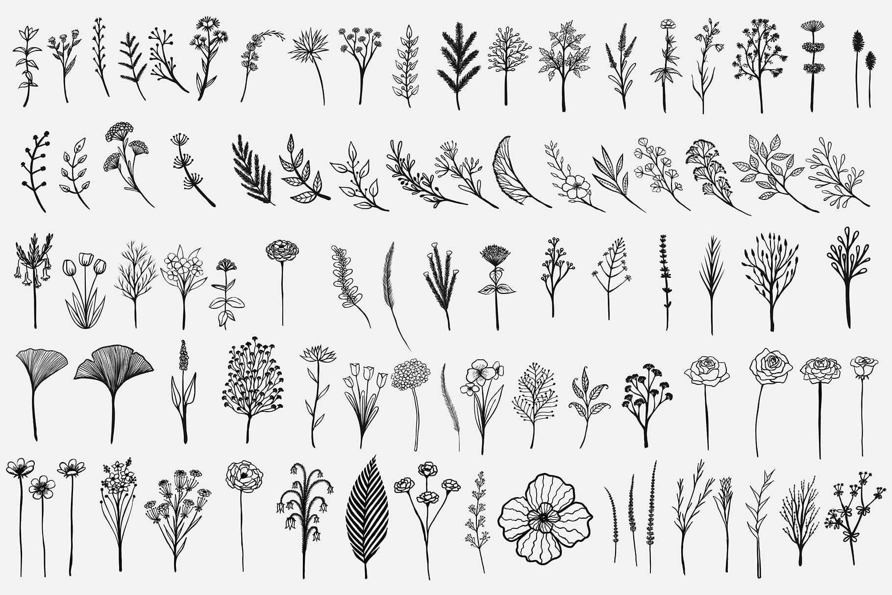 90 various hand drawn wild flowers on a gray background.