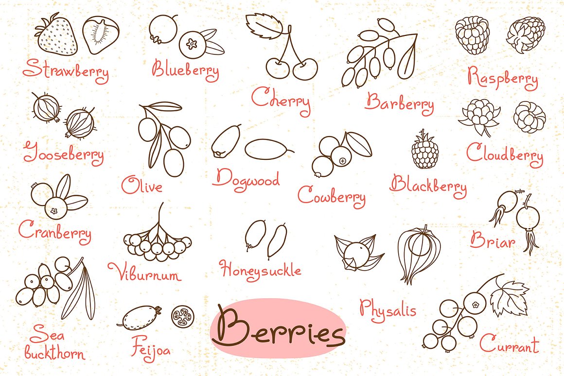 Black lettering "Berries" on a pink background and different black illustrations of berries and pink their names on a white background.