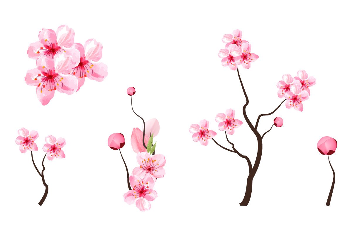 Separate branches with sakura flowers.