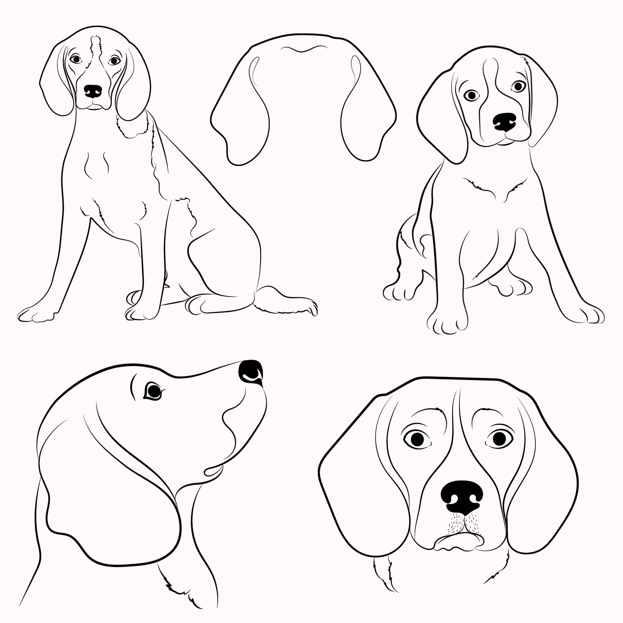 Set of four dogs with different expressions.