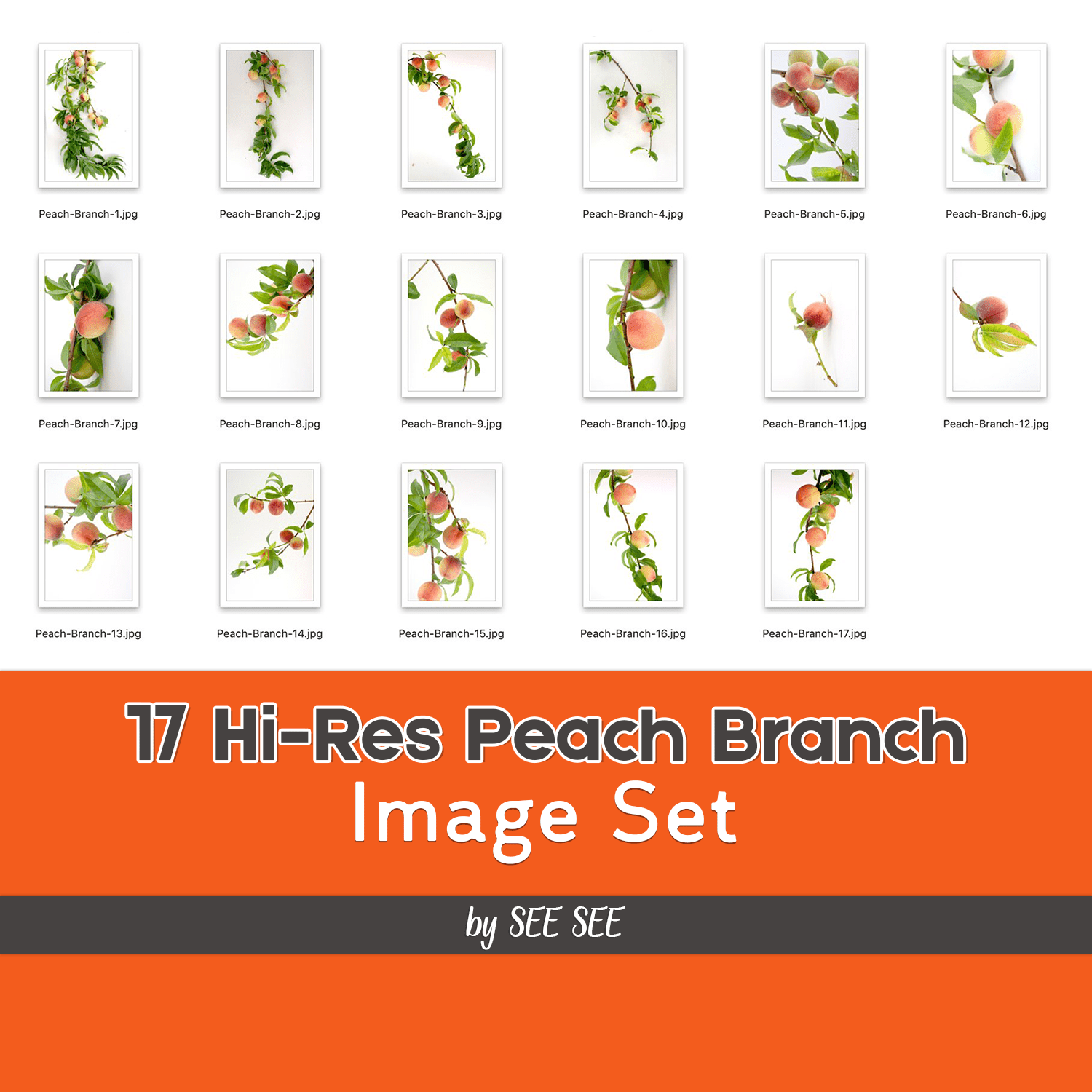 17 Hi-Res Peach Branch Image Set by SEE SEE