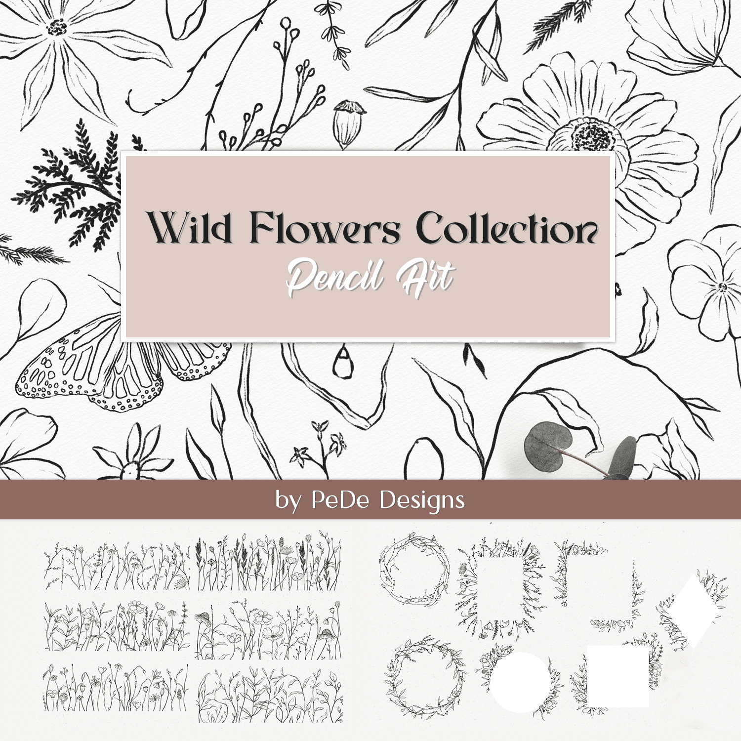 Wild Flowers Collection. Pencil Art.