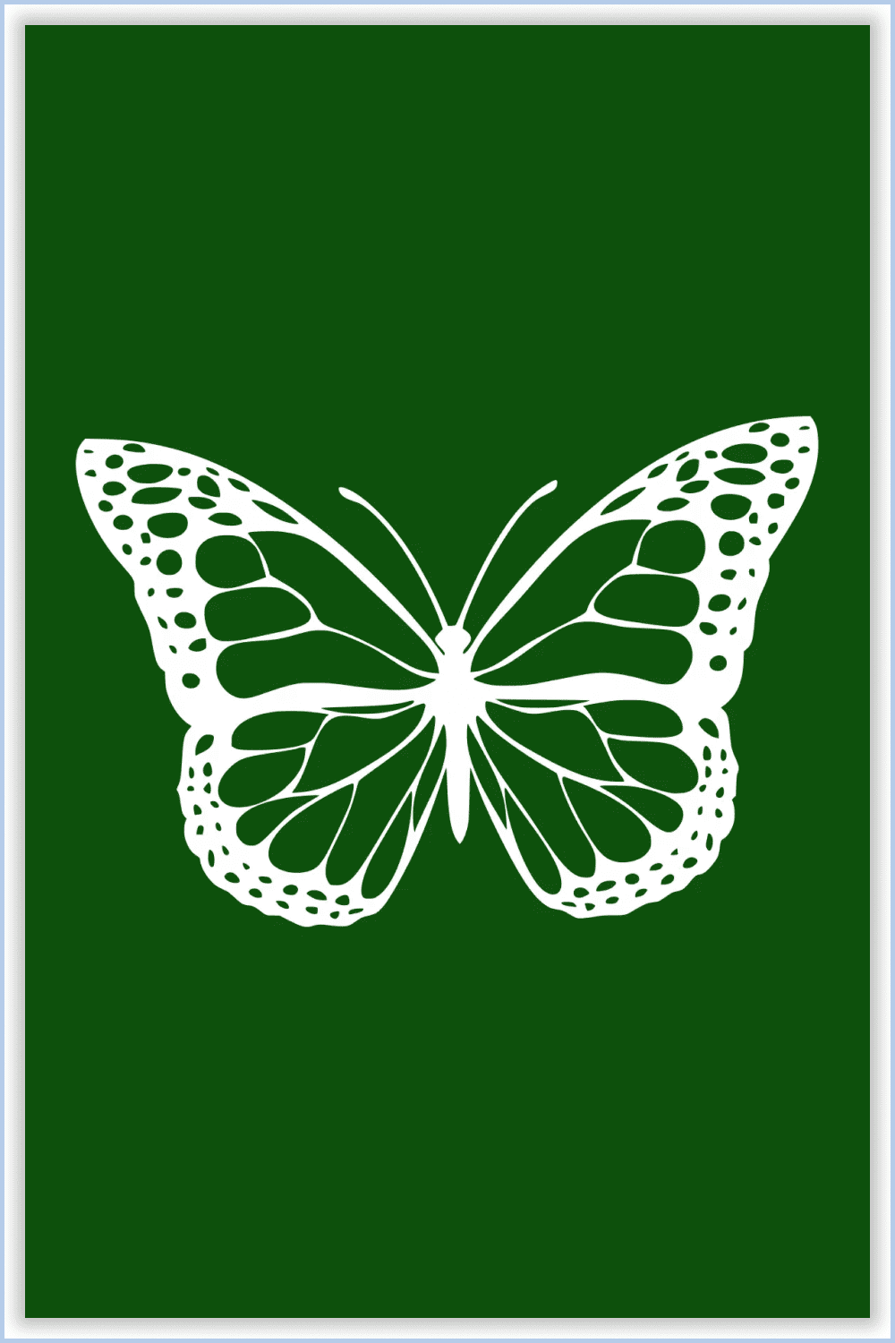 Butterfly white color with membranous wings on a green background.