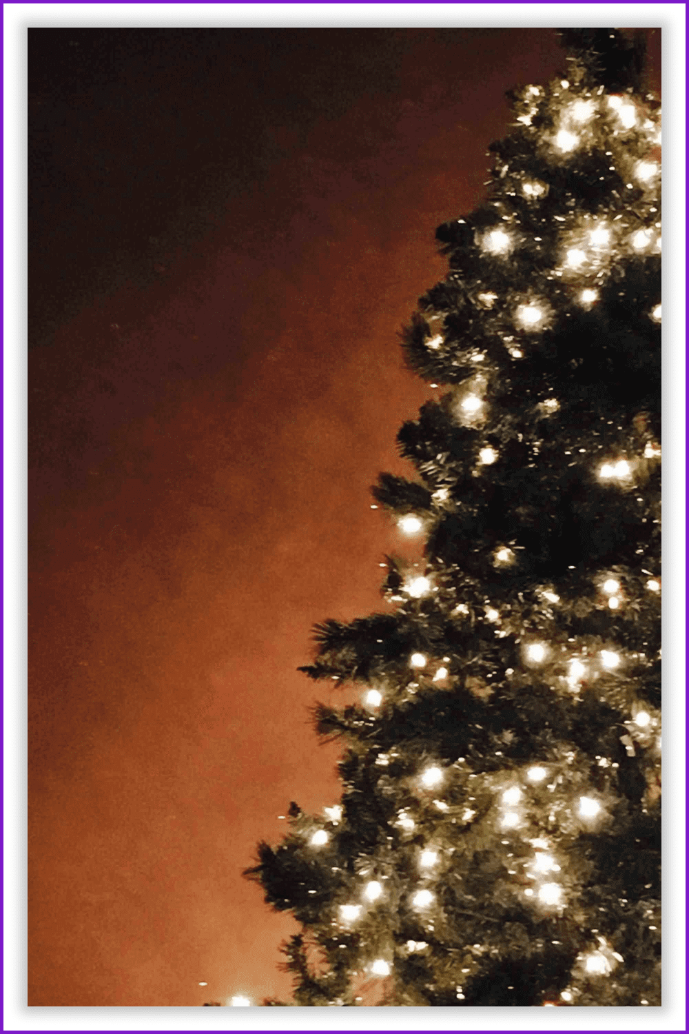 Photo of a Christmas tree with bright garlands.
